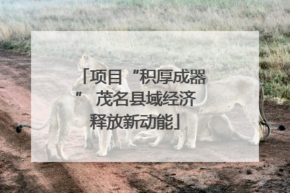 项目“积厚成器” 茂名县域经济释放新动能